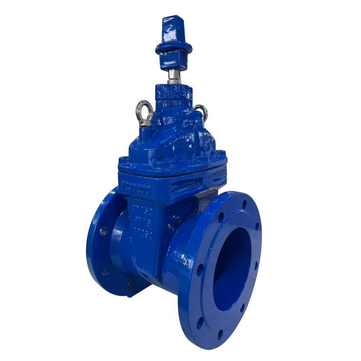 Resilient Seated Gate Valve